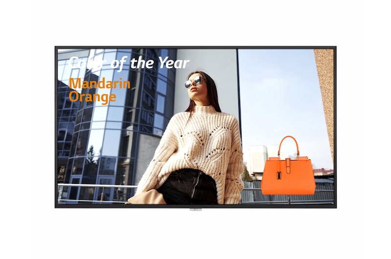 LG 65 po 500 nits UHD Affichage, 65UH5F-B