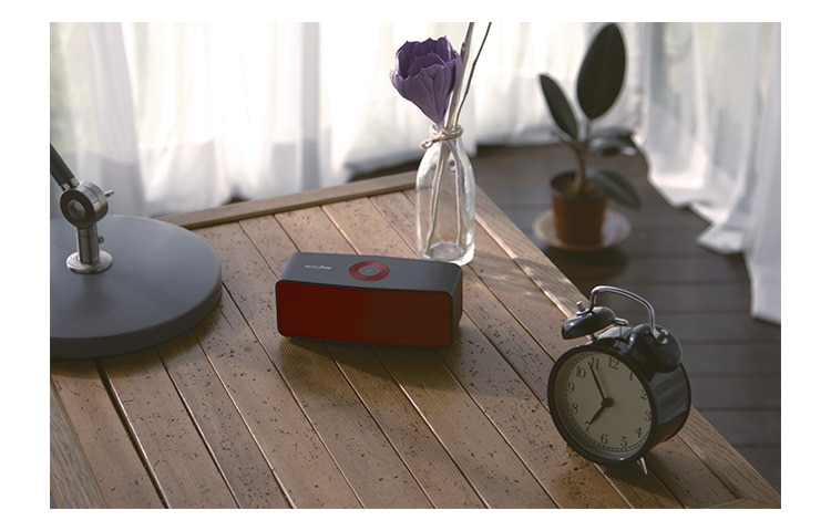 LG Enceinte portable | Bluetooth | Mode Stéréo | Wireless Sound Sync | Batterie Intégrée, LG NP5550BR Noire Rouge