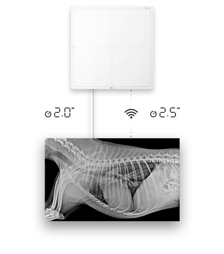 Disponibilité de l’image brute en 2 secondes avec une connexion filaire, ou 2,5 secondes avec une connexion sans fil