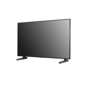 LG 55 po 350 nits 60 Hz UHD Affichage, LG 55UM3DG-B