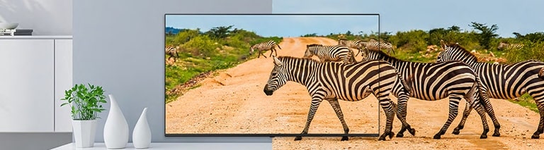 Le téléviseur aux bords fins affiche l’écran avec des images réalistes pour améliorer l’expérience utilisateur.