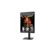 LG 21.3'' (54cm) | Écran IPS format 4/3 | Résolution 3MP 1536 x 2048, LG 21HQ513D-B