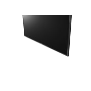 LG 24" (61cm) | Hôtel TV | HD, LG 24LT662VBZB