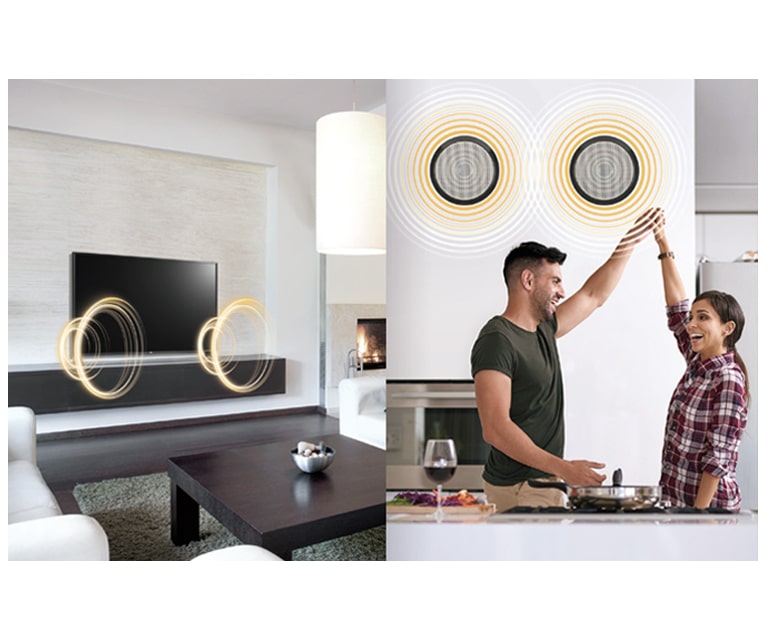 Sortie de haut-parleur externe