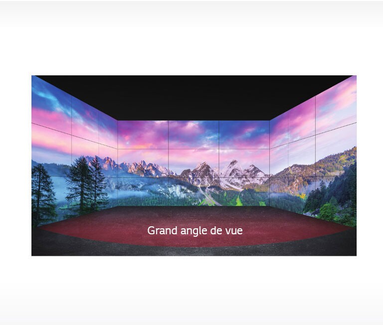 Angle de vue élargi1