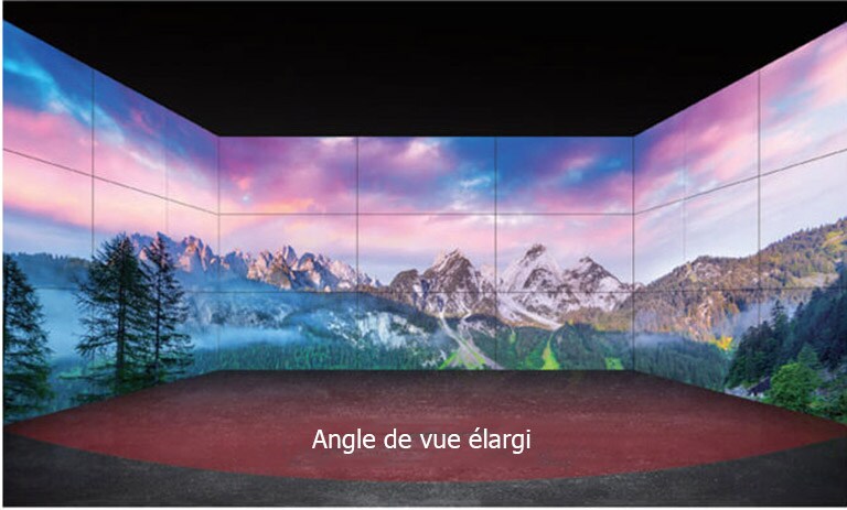 Angle de vue élargi1