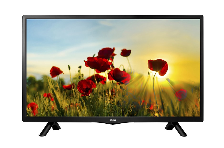 TVs petites tailles LG 29MT48T