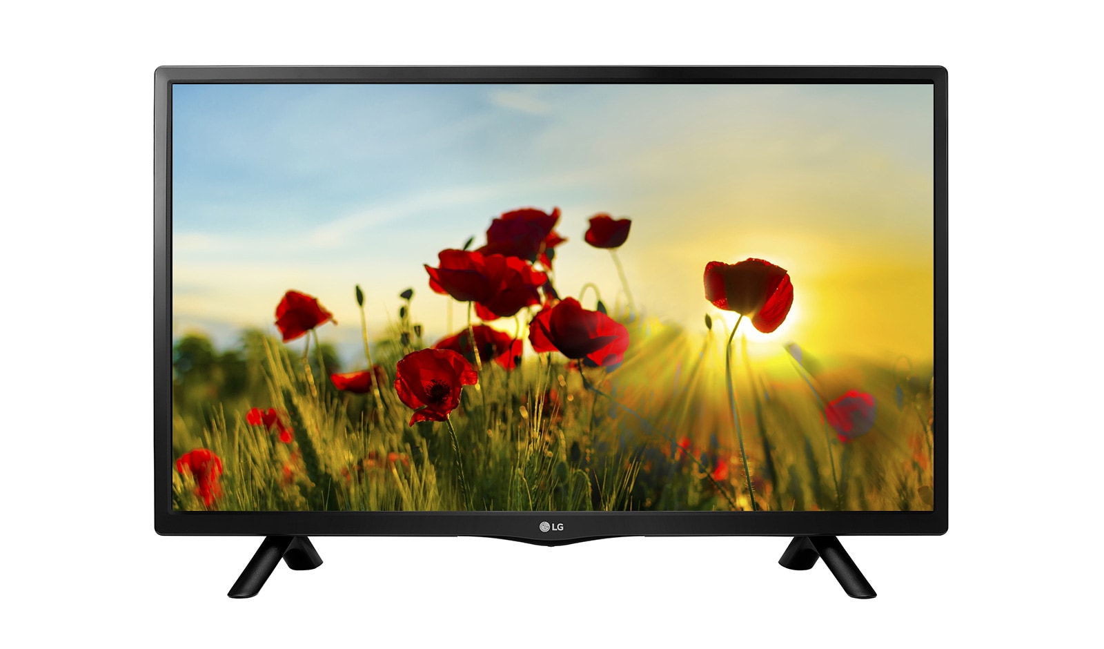 TVs petites tailles LG 29MT48T