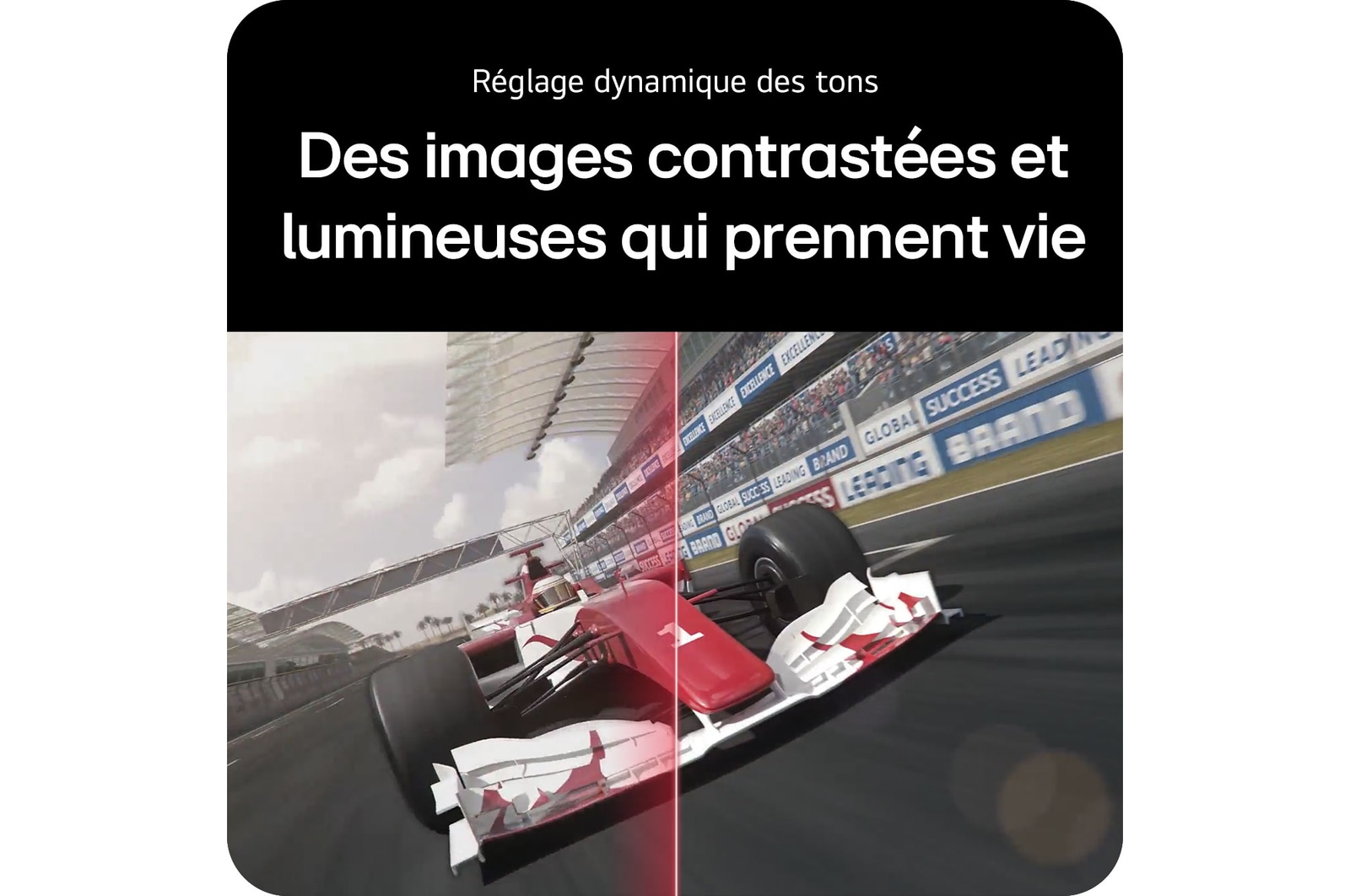 Des images contrastées et Réglage dynamique des tons lumineuses qui prennent vie