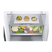 LG Réfrigérateur combiné 341L | Total No Frost  | Compresseur linéaire inverter | Smart Diagnosis™ | 36dB(C) | Moist Balance Crisper | Fresh converter , LG GBB71PZEZN
