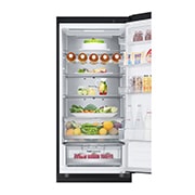 LG GBV5250EEP Vue de face