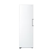 LG Congélateur 1 porte  | 324L | Total No Frost | Compresseur Smart Inverter, LG GFT61SWCSE