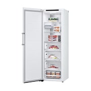 LG Congélateur 1 porte  | 324L | Total No Frost | Compresseur Smart Inverter, LG GFT61SWCSE