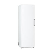 LG Congélateur 1 porte  | 324L | Total No Frost | Compresseur Smart Inverter, LG GFT61SWCSE