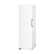 LG Congélateur 1 porte  | 324L | Total No Frost | Compresseur Smart Inverter, LG GFT61SWCSE