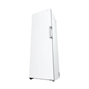 LG Congélateur 1 porte  | 324L | Total No Frost | Compresseur Smart Inverter, LG GFT61SWCSE