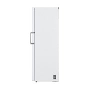 LG Congélateur 1 porte  | 324L | Total No Frost | Compresseur Smart Inverter, LG GFT61SWCSE