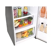 LG Réfrigérateur 1 porte| 382L | F | Total No Frost | Compresseur Linéaire Inverter, LG GL5241PZJZ1