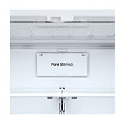 LG Réfrigérateur Multi-Portes | 616L | F | Total No Frost | Compresseur Linéaire Inverter, LG GML8031MT