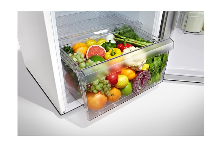 LG Réfrigérateur 2 portes | 254L | Eclairage LED | Twist ice | Magic crisper | No Frost | A+, LG GR5501WH