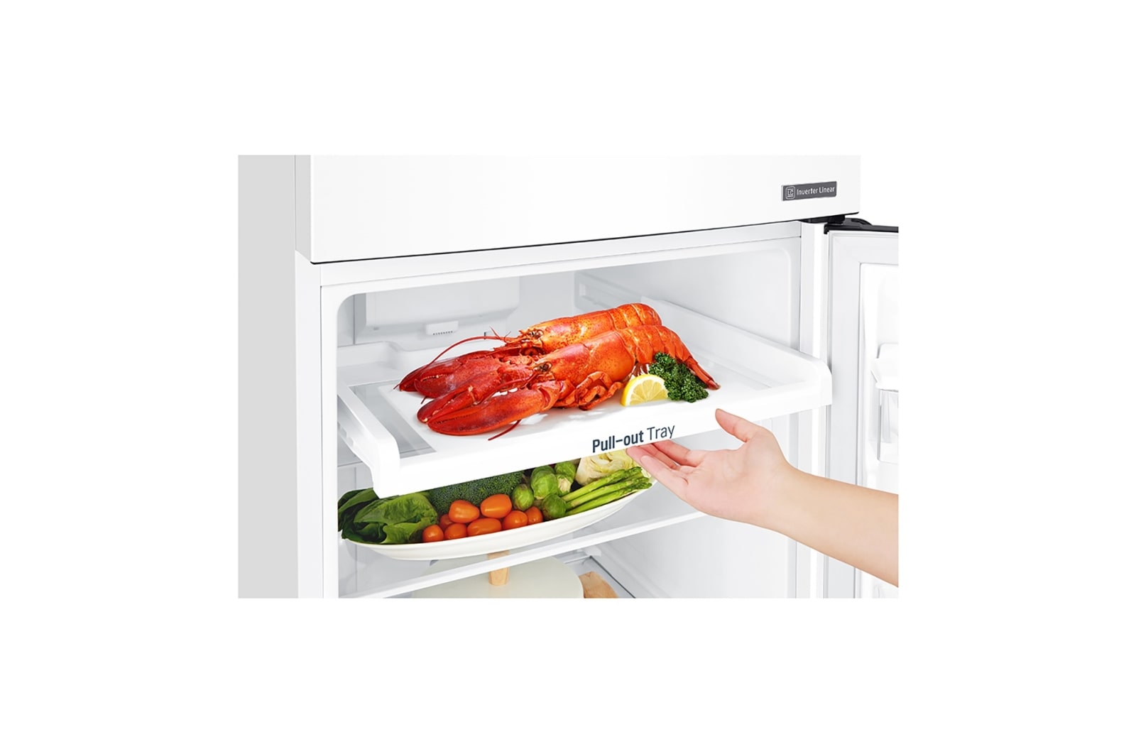 LG Réfrigérateurs 2 portes | Door Cooling I 254L | Total No Frost , LG GT5525LWH
