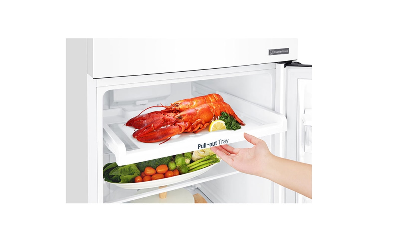 LG Réfrigérateur  2 portes | 254L | Total No Frost | Compresseur linéaire inverter | Door Cooling | F, LG GT5525WH