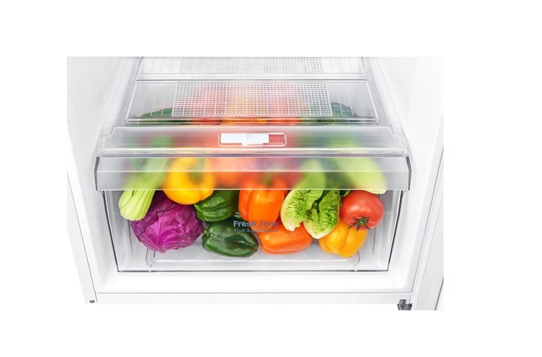 LG Réfrigérateur  2 portes | 254L | Total No Frost | Compresseur linéaire inverter | Door Cooling | F, LG GT5525WH