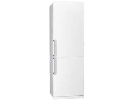 Réfrigérateurs Combinés LG GC-B3909WHT