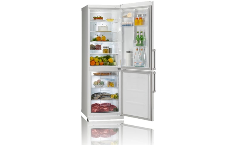 LG Réfrigérateur combiné LG GCD-3920WH, LG GCD-3920WH