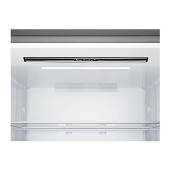 LG Réfrigérateur combiné | 465 L | Door Cooling+™, LG GBBW322DPY