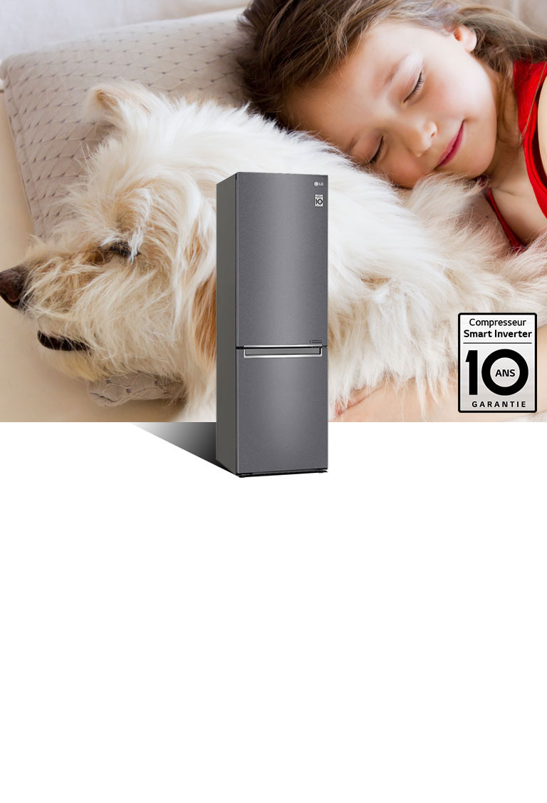 Compresseur Smart Inverter