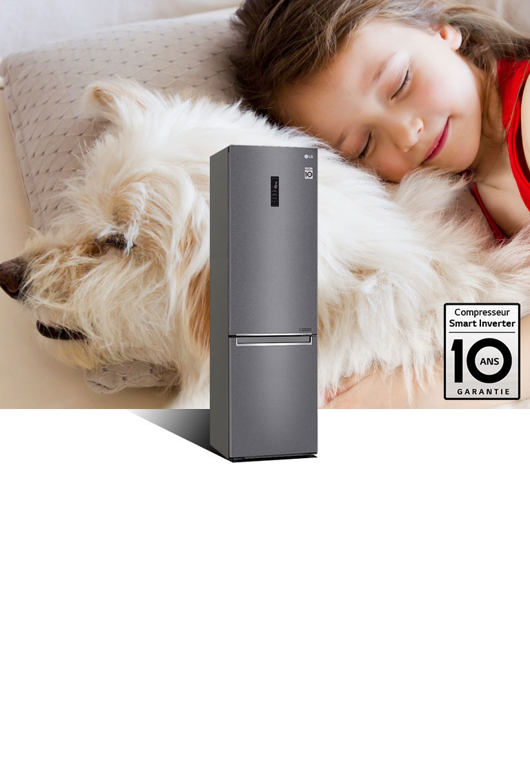le compresseur Smart Inverter permet un silence à toute épreuve et des économies d'énergie
