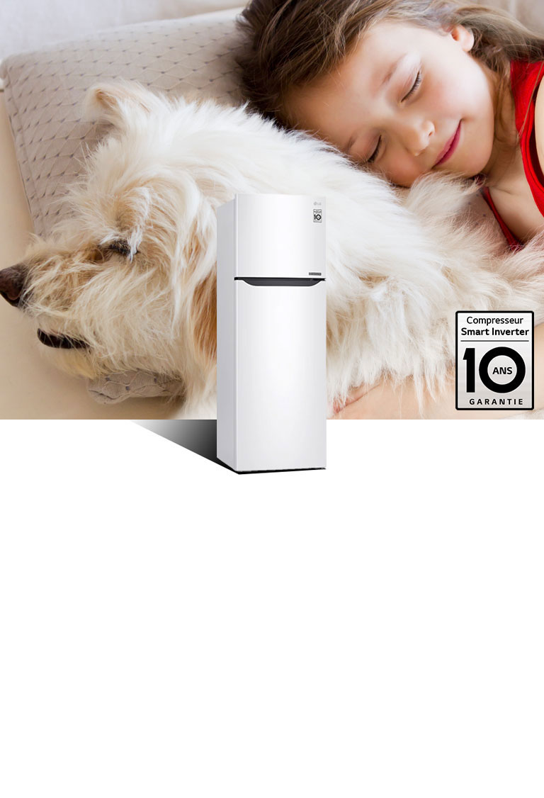 Compresseur Smart Inverter