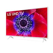 LG 43'' (109cm) | TV LED | UHD | 4K, LG 43UN73906LE