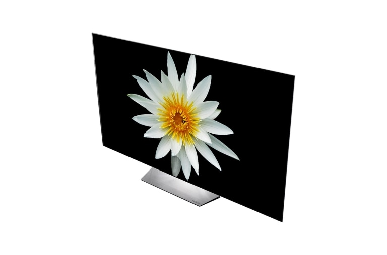 LG 55 pources (139cm) | TV OLED | FHD | SMART TV WebOS | HDMI | USB, LG 55EG9A7V