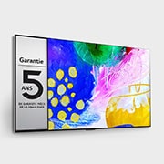 LG TV LG OLED evo G2 | Gallery Edition | 2022 | 65'' (164 cm) | UHD | Processeur α9 Gen5 AI, LG OLED65G26LA