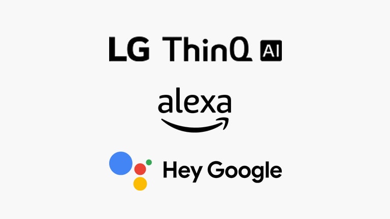 Cette carte décrit les commandes vocales. Les logos LG ThinQ AI, Hey Google et Amazon Alexa sont placés.