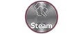 True Steam