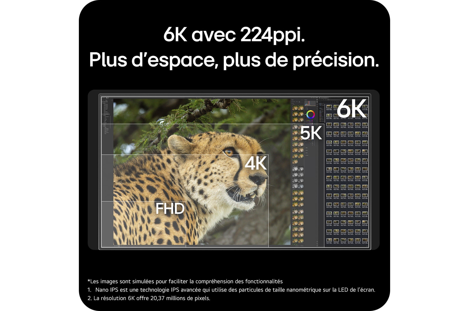 Carte USP : 6K avec 224 ppi. Un espace de travail plus large, des détails nets