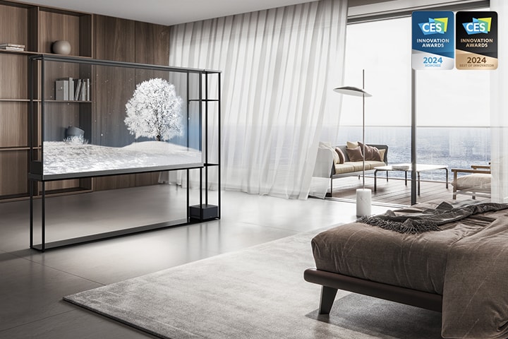 Вид на гостиную, где установлен LG OLED T 