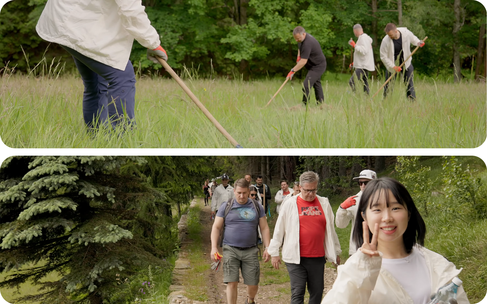 LG Electronics corporate social responsibility LG Czech Republic rehabilitation of forest stands in Krkonose National Park
