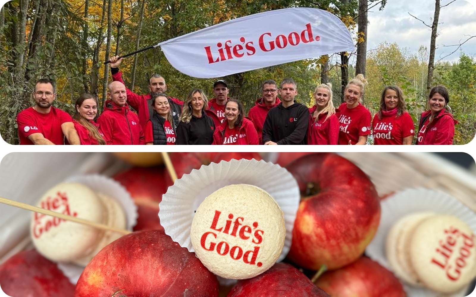 LG Electronics corporate social responsibility LG Latvia planting 1200 trees