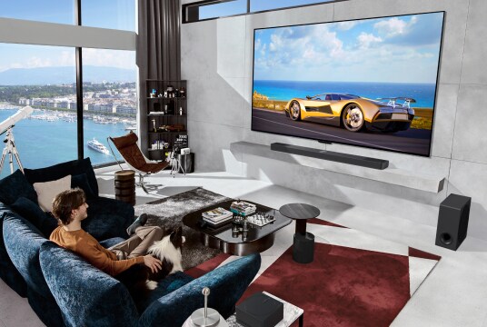 A man and a dog are sitting on a blue sofa in a stylish living room with a view of the sea, watching a OLED M TV mounted on the wall.