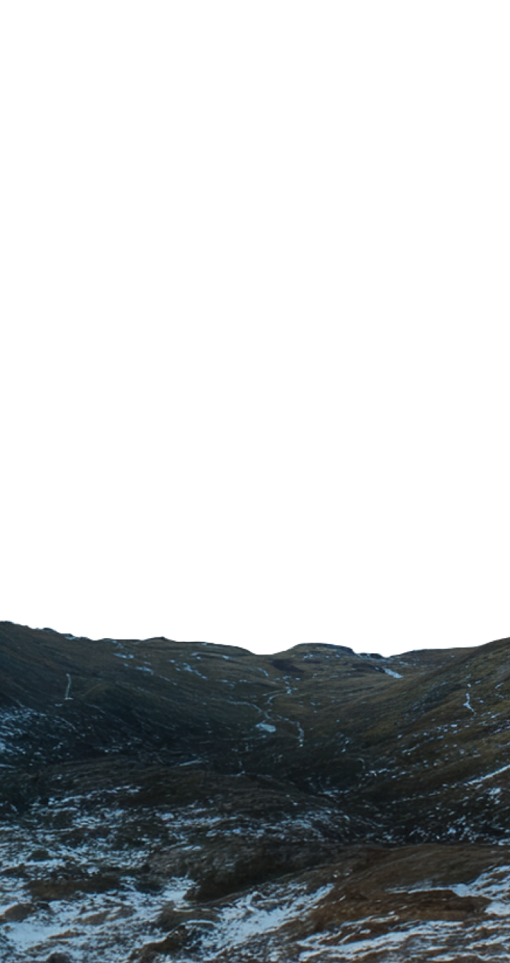 Parallax decorative element 1