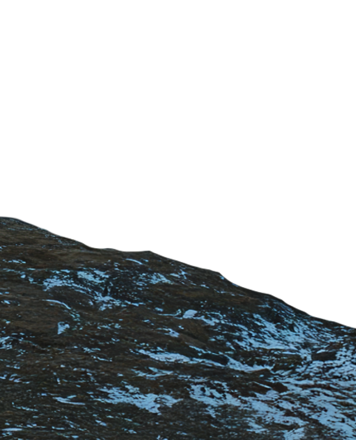 Parallax decorative element 2