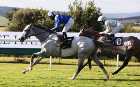 Horses racing at the Qatar Goodwood Festival, which was held in the south of England