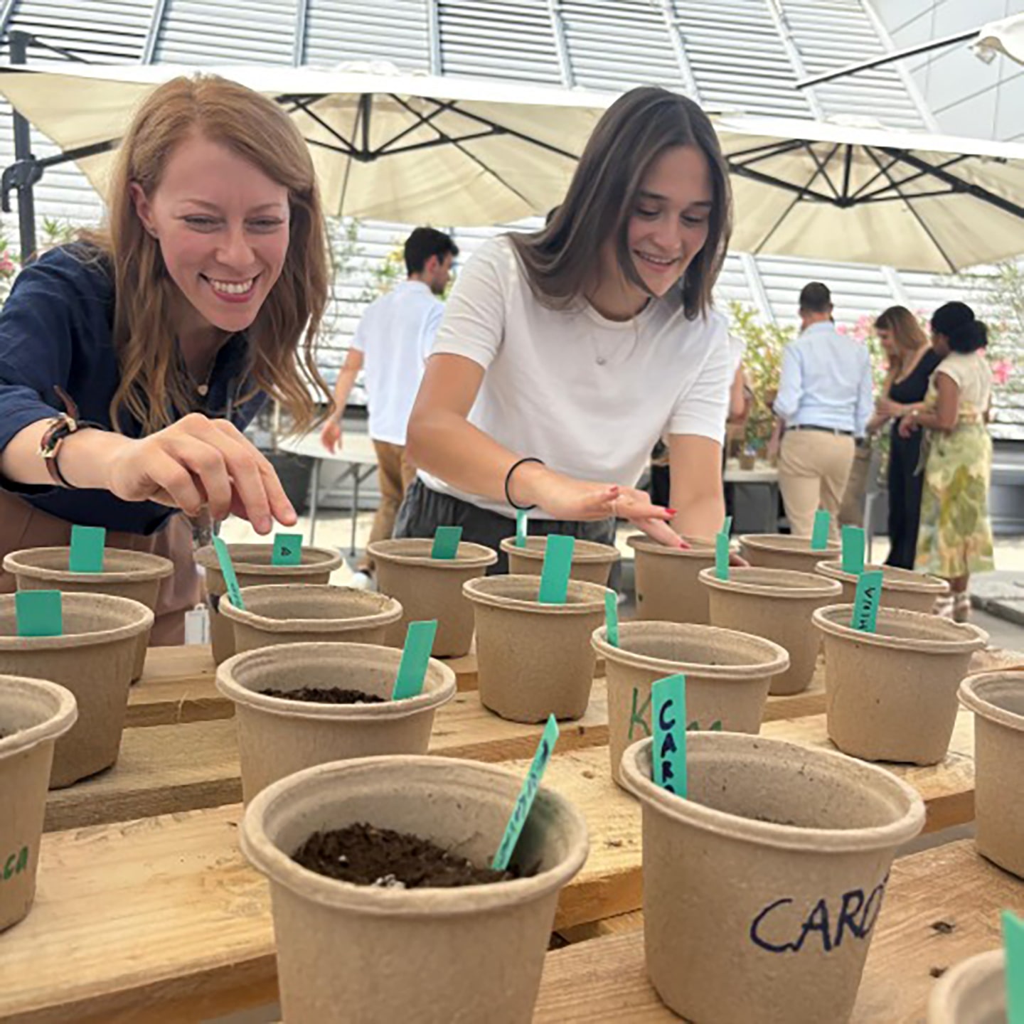 Acting Locally, Impacting Globally: LG’s Journey to Greener Horizons