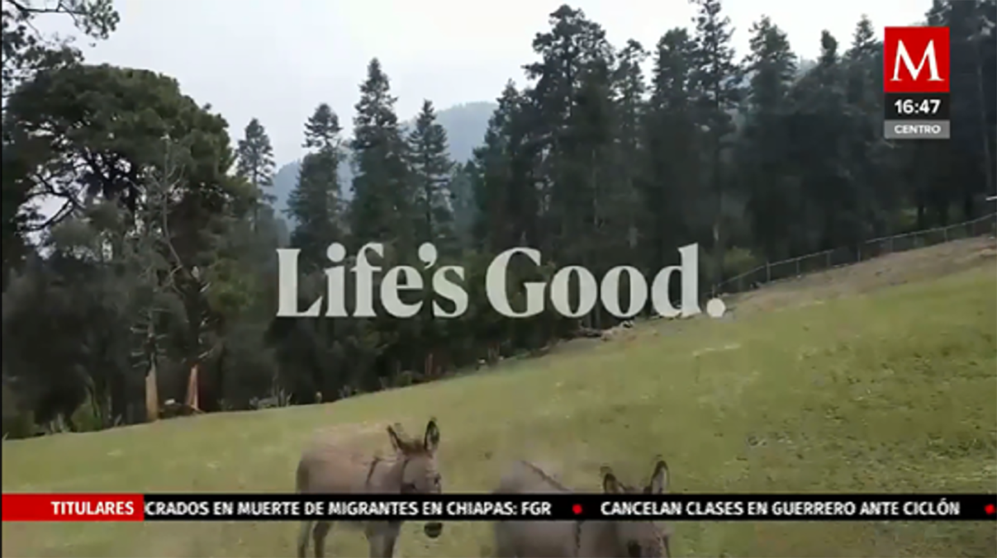 Harnessing the Power of Optimism Across Mexico