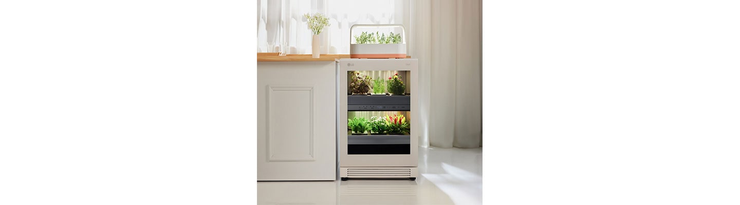 [On the Job] Organically Grown Innovation: LG tiiun