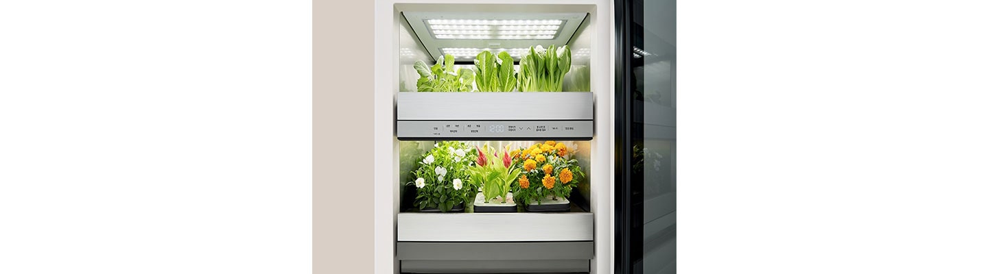 [On the Job] Organically Grown Innovation: LG tiiun